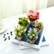 Set of 6 Potted Artificial Flowers – Faux Floral Spring Decor